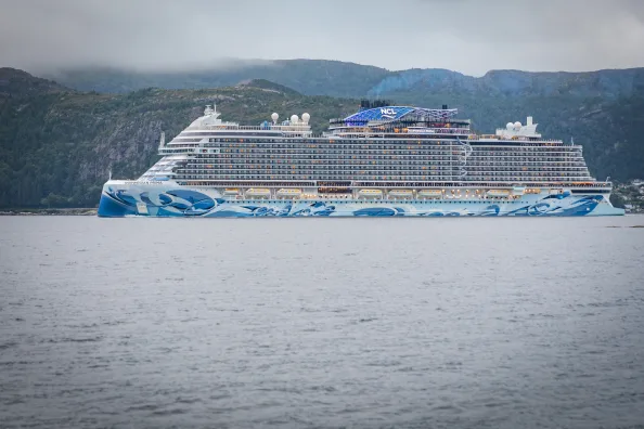 Kreuzfahrtschiff auf dem Nordfjord in Norwegen