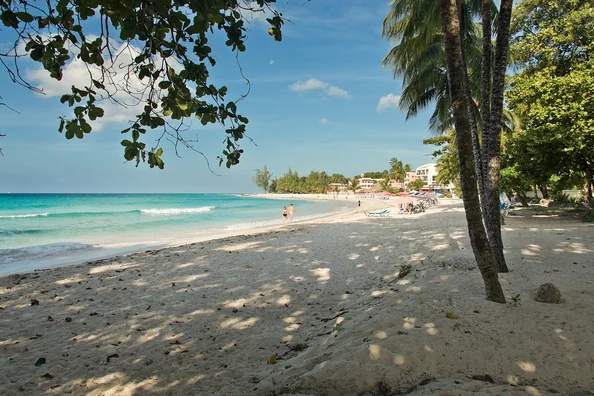 Sandstrand mit Palmen in der Karibik